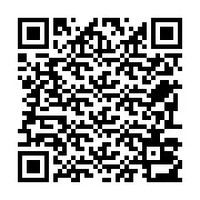 QR Code pour le numéro de téléphone +22793013573