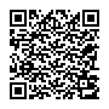 Codice QR per il numero di telefono +22793013579