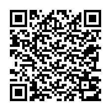 Codice QR per il numero di telefono +22793013599
