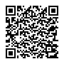 Codice QR per il numero di telefono +22793013608