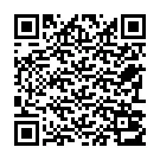 Kode QR untuk nomor Telepon +22793013613