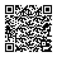 QR-Code für Telefonnummer +22793013615