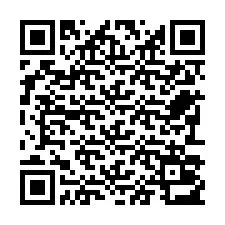 QR-код для номера телефона +22793013617