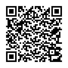 QR Code for Phone number +22793013623