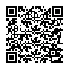 QR-code voor telefoonnummer +22793013642