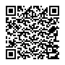 QR-Code für Telefonnummer +22793013643