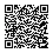 QR Code pour le numéro de téléphone +22793013651