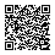 Código QR para número de teléfono +22793013658