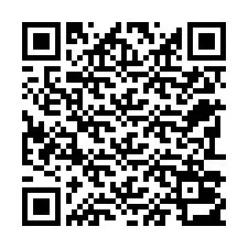 Codice QR per il numero di telefono +22793013661