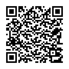 QR Code pour le numéro de téléphone +22793013663