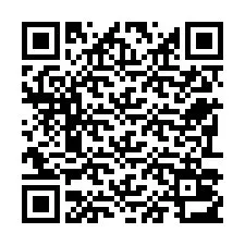 Código QR para número de teléfono +22793013666