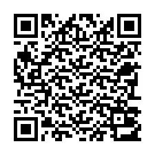 Codice QR per il numero di telefono +22793013668