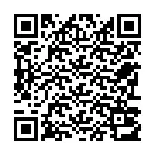 QR-code voor telefoonnummer +22793013673