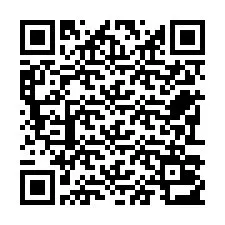 Codice QR per il numero di telefono +22793013677