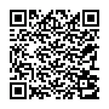 QR-code voor telefoonnummer +22793013701