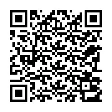 QR-Code für Telefonnummer +22793013721