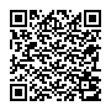 QR-code voor telefoonnummer +22793013742