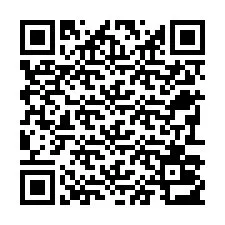 QR-code voor telefoonnummer +22793013750