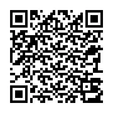 QR-code voor telefoonnummer +22793013800