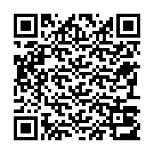 Codice QR per il numero di telefono +22793013802