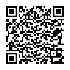 QR код за телефонен номер +22793013807