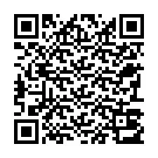 QR-code voor telefoonnummer +22793013810