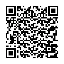 QR-code voor telefoonnummer +22793013820