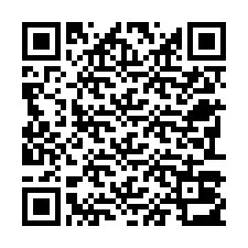 QR-code voor telefoonnummer +22793013834