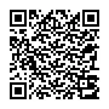 QR-code voor telefoonnummer +22793013840