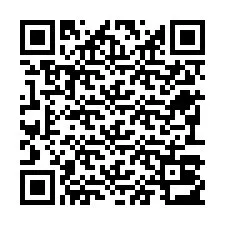 QR-code voor telefoonnummer +22793013842