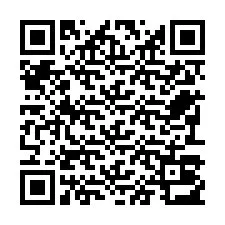 Kode QR untuk nomor Telepon +22793013847