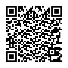 QR-code voor telefoonnummer +22793013854