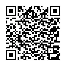 Código QR para número de telefone +22793013856