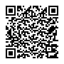 Código QR para número de telefone +22793013857