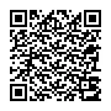 QR-code voor telefoonnummer +22793013858