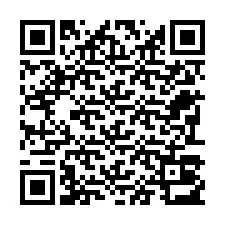 QR код за телефонен номер +22793013865