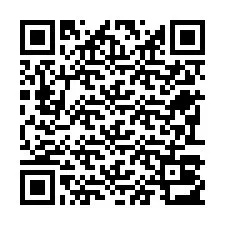 QR-Code für Telefonnummer +22793013872