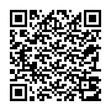 QR-Code für Telefonnummer +22793013881