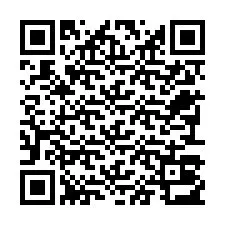 QR-код для номера телефона +22793013889