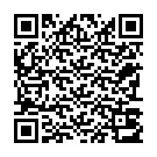 QR-Code für Telefonnummer +22793013891