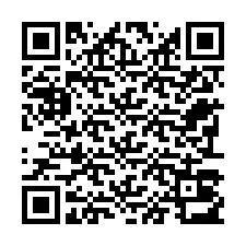 QR-Code für Telefonnummer +22793013895