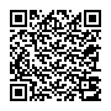 QR-Code für Telefonnummer +22793013899