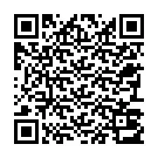 QR код за телефонен номер +22793013908