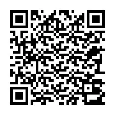 QR kód a telefonszámhoz +22793013919