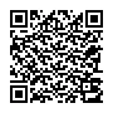 QR Code pour le numéro de téléphone +22793013939