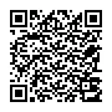 QR-code voor telefoonnummer +22793013963