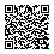 QR Code pour le numéro de téléphone +233202919380