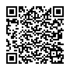 QR Code pour le numéro de téléphone +2347017164523