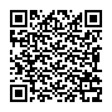 Codice QR per il numero di telefono +2349133972455