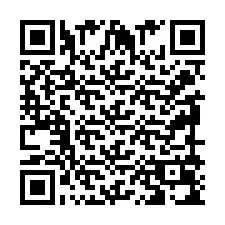 QR-koodi puhelinnumerolle +2399909040